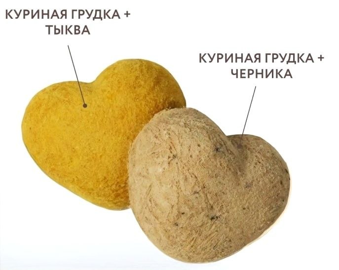 Мнямс Фросты из курицы с черникой и тыквой, размер S