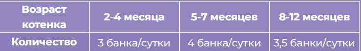 шезир котята.png